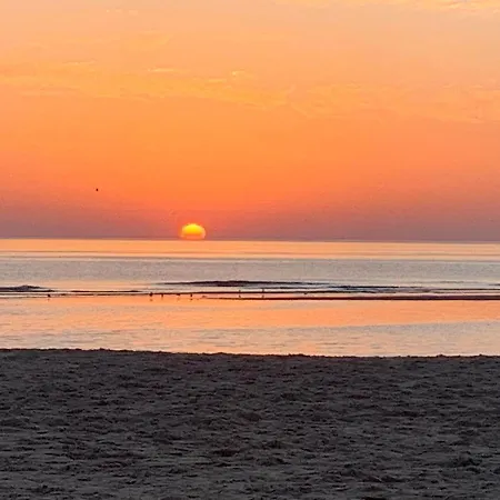 De Garnaal * Egmond aan Zee